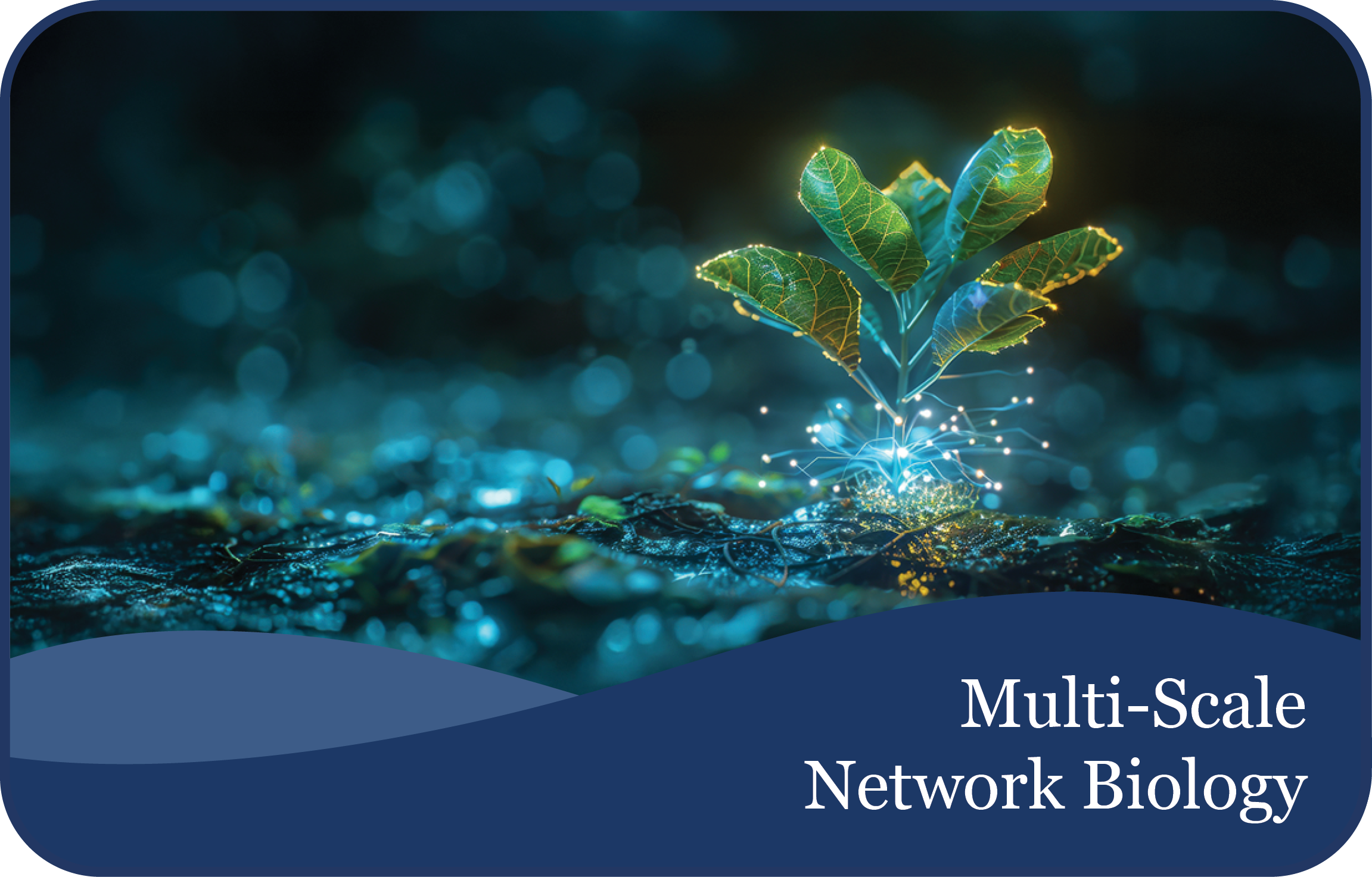 Multi-Scale Network Biology