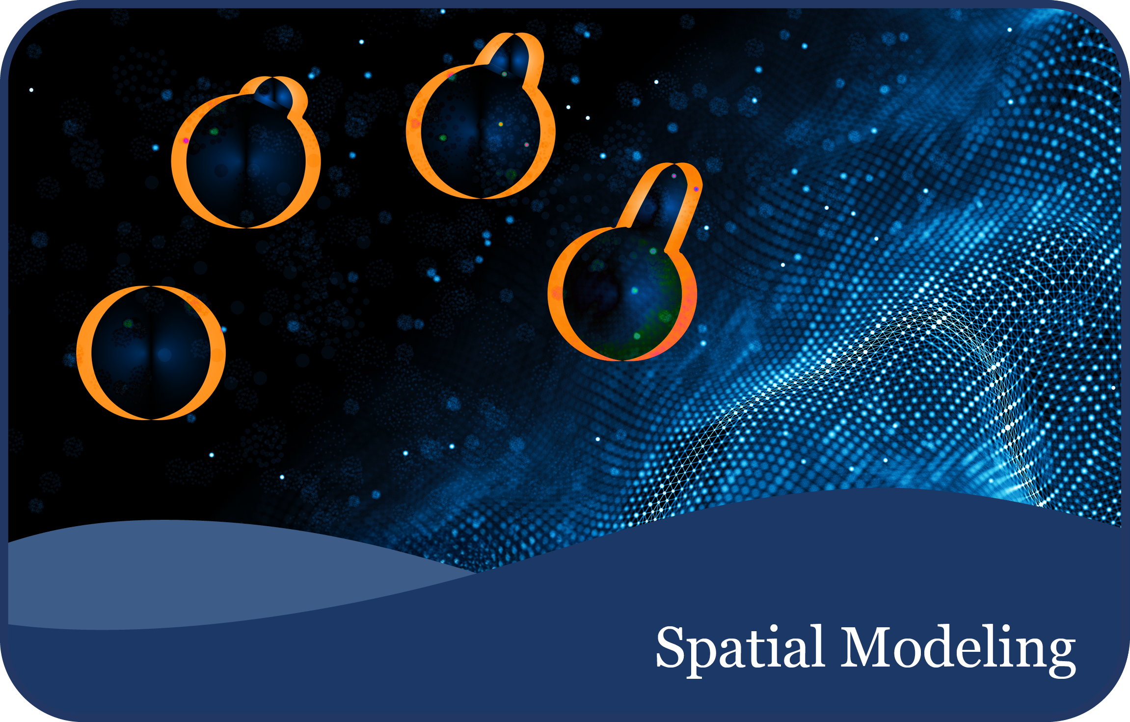 Spatial Modeling